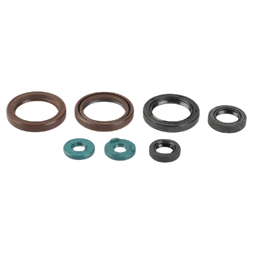 OEM DUST SEALING RING 442.8017-01  For H3800