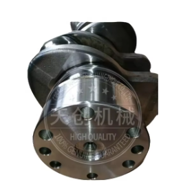 5737486 CRANKSHAFT